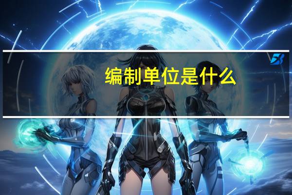 编制单位是什么