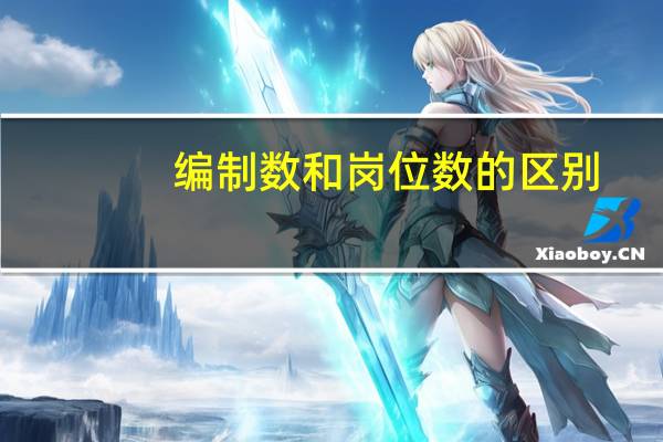 编制数和岗位数的区别