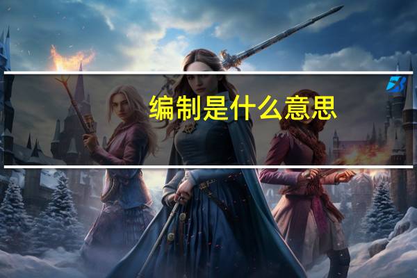 编制是什么意思
