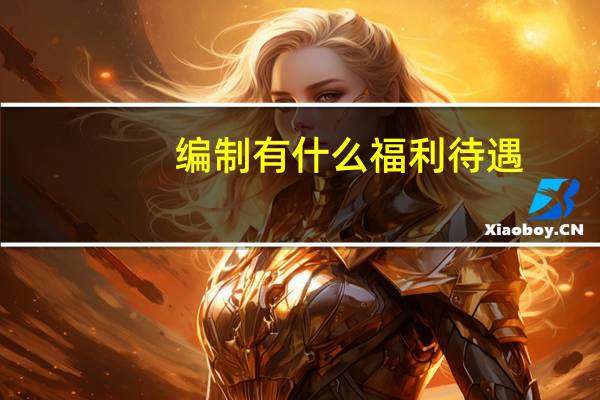 编制有什么福利待遇