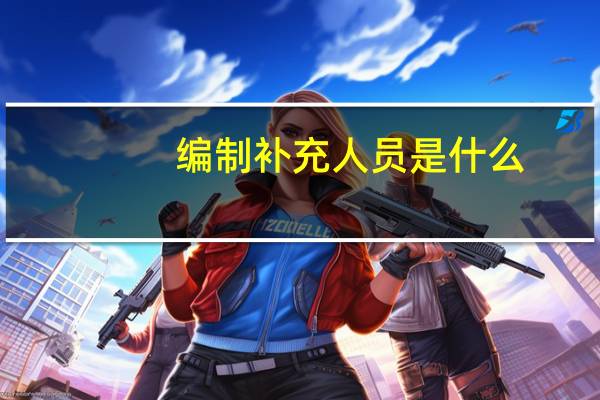 编制补充人员是什么