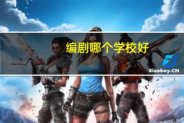 编剧哪个学校好