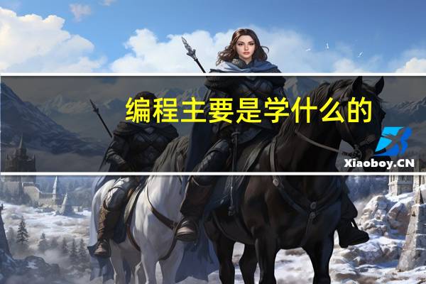 编程主要是学什么的