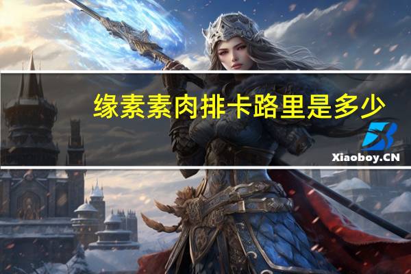 缘素 素肉排卡路里是多少