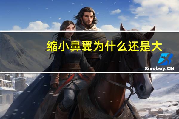 缩小鼻翼为什么还是大，鼻翼缩小原理