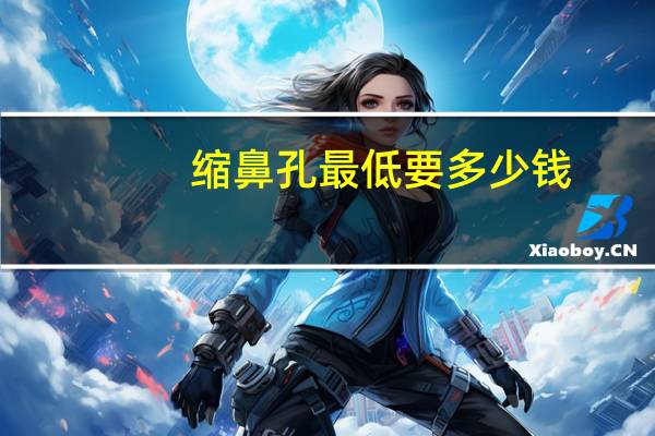 缩鼻孔最低要多少钱?怎么让大鼻孔变小