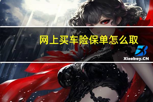 网上买车险保单怎么取（网上买车险保单怎么拿）
