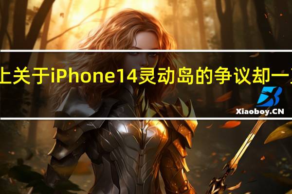 网上关于iPhone 14灵动岛的争议却一直没停下