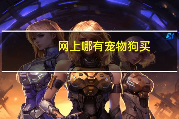 网上哪有宠物狗买