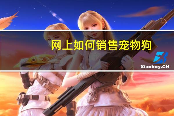 网上如何销售宠物狗