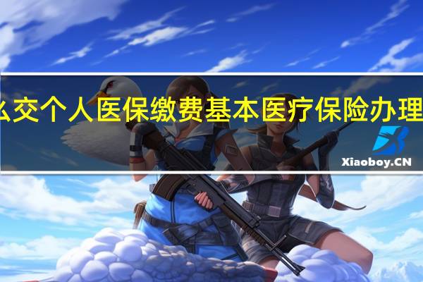 网上怎么交个人医保缴费　基本医疗保险办理需要什么手续