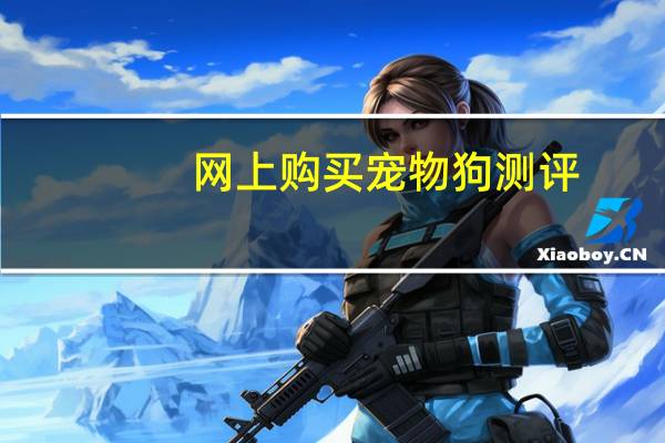 网上购买宠物狗测评