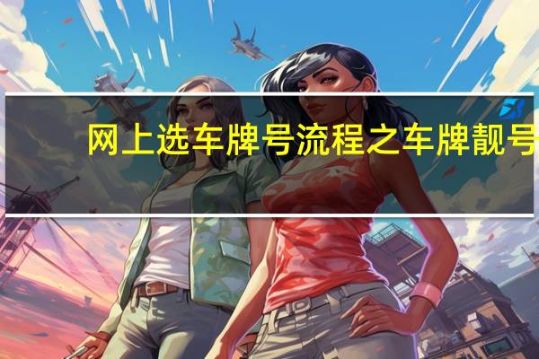 网上选车牌号流程之车牌靓号（网上选车牌号流程）
