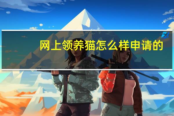 网上领养猫怎么样申请的