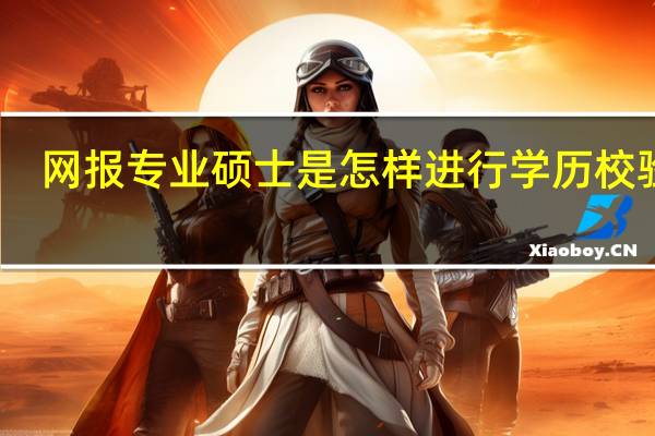 网报专业硕士是怎样进行学历校验的