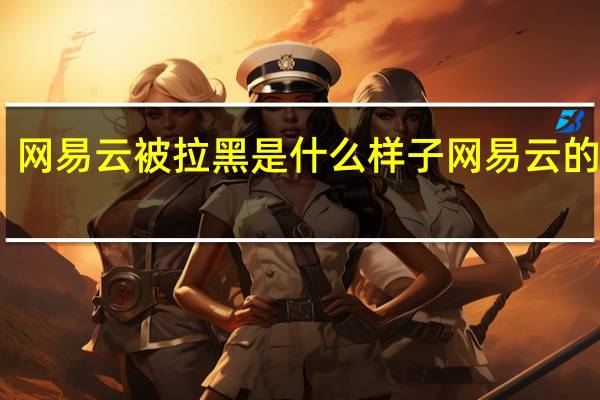 网易云被拉黑是什么样子 网易云的简介