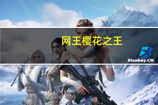 网王樱花之王（网王樱兰之无上至宝）