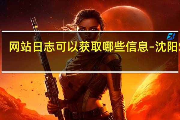 网站日志可以获取哪些信息 – 沈阳SEO