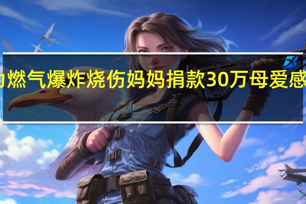网红为燃气爆炸烧伤妈妈捐款30万 母爱感动无数网友