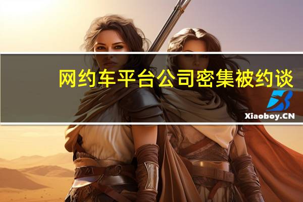 网约车平台公司密集被约谈：要求明码标价规范竞争清退不合规车辆