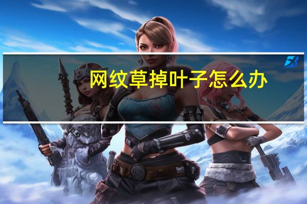 网纹草掉叶子怎么办