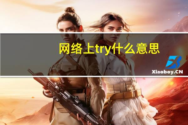网络上try什么意思