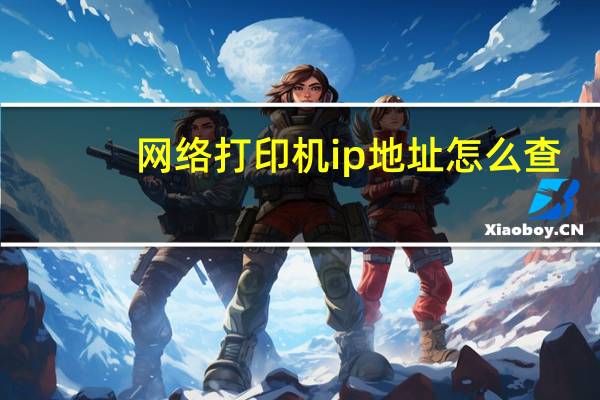 网络打印机ip地址怎么查
