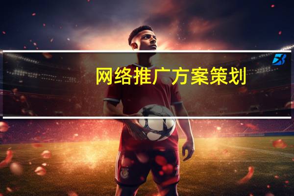 网络推广方案策划