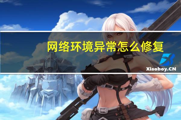 网络环境异常怎么修复?（网络环境异常怎么修复）
