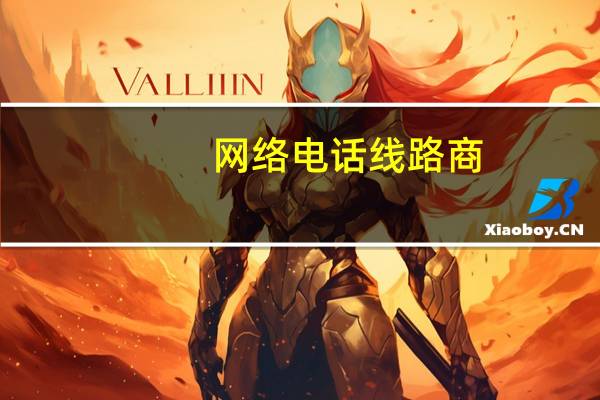 网络电话线路商（网络电话服务商）
