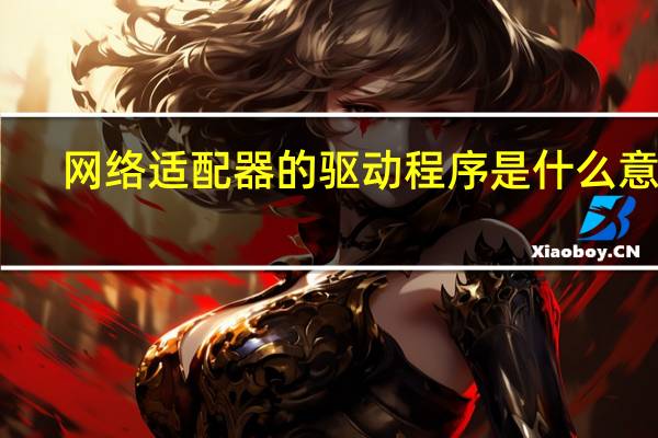 网络适配器的驱动程序是什么意思(网络适配器的驱动程序)