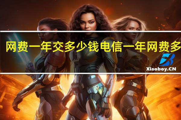 网费一年交多少钱 电信一年网费多少钱
