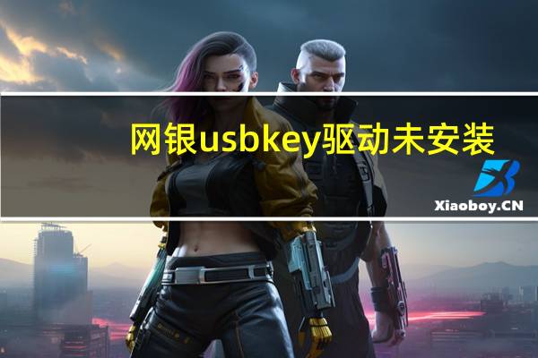 网银usbkey驱动未安装(网上银行的Usbkey的驱动程序要怎么安装)