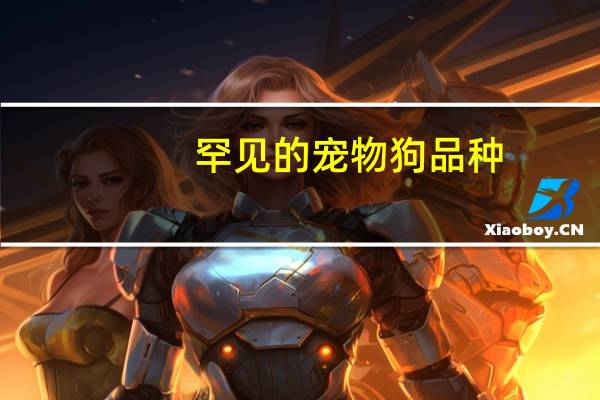 罕见的宠物狗品种