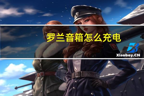 罗兰音箱怎么充电