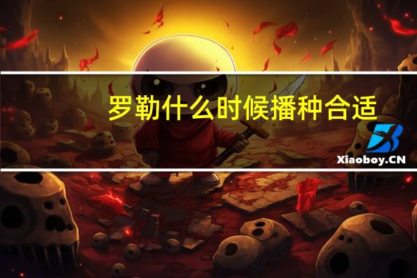 罗勒什么时候播种合适