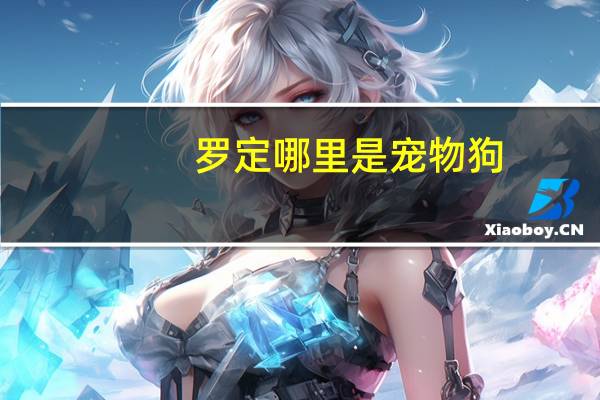 罗定哪里是宠物狗