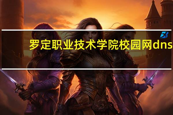 罗定职业技术学院校园网dns