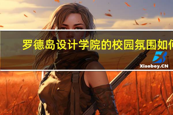 罗德岛设计学院的校园氛围如何