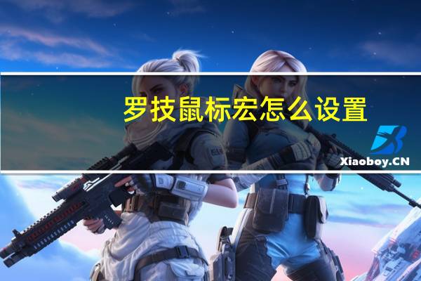 罗技鼠标宏怎么设置（宏怎么设置）
