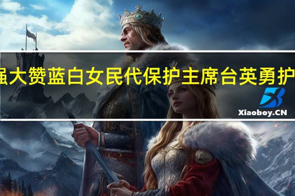 罗智强大赞蓝白女民代保护主席台 英勇护主感动人心
