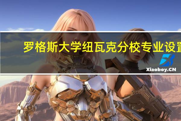 罗格斯大学纽瓦克分校专业设置
