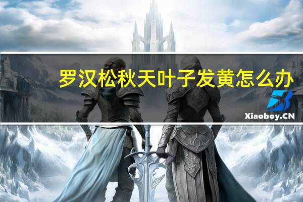 罗汉松秋天叶子发黄怎么办