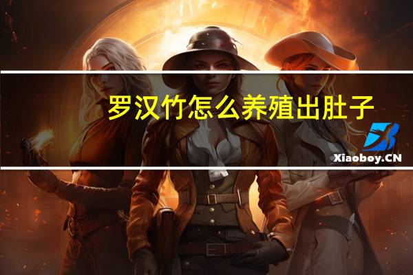 罗汉竹怎么养殖出肚子
