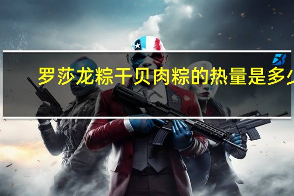 罗莎 龙粽 干贝肉粽的热量是多少