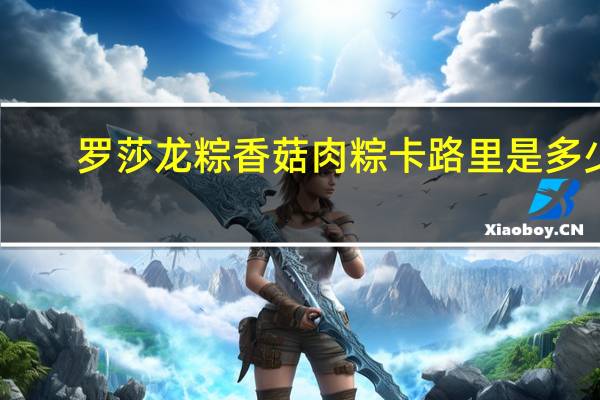 罗莎 龙粽 香菇肉粽卡路里是多少