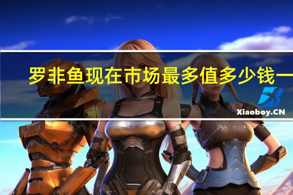 罗非鱼现在市场最多值多少钱一斤