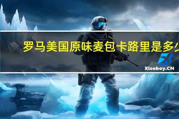 罗马 美国 原味麦包卡路里是多少