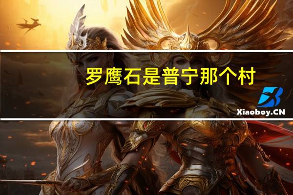 罗鹰石是普宁那个村（罗鹰石）