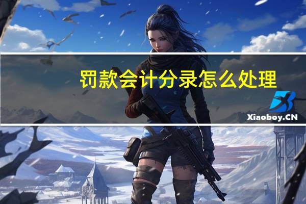 罚款会计分录怎么处理（罚款会计分录）